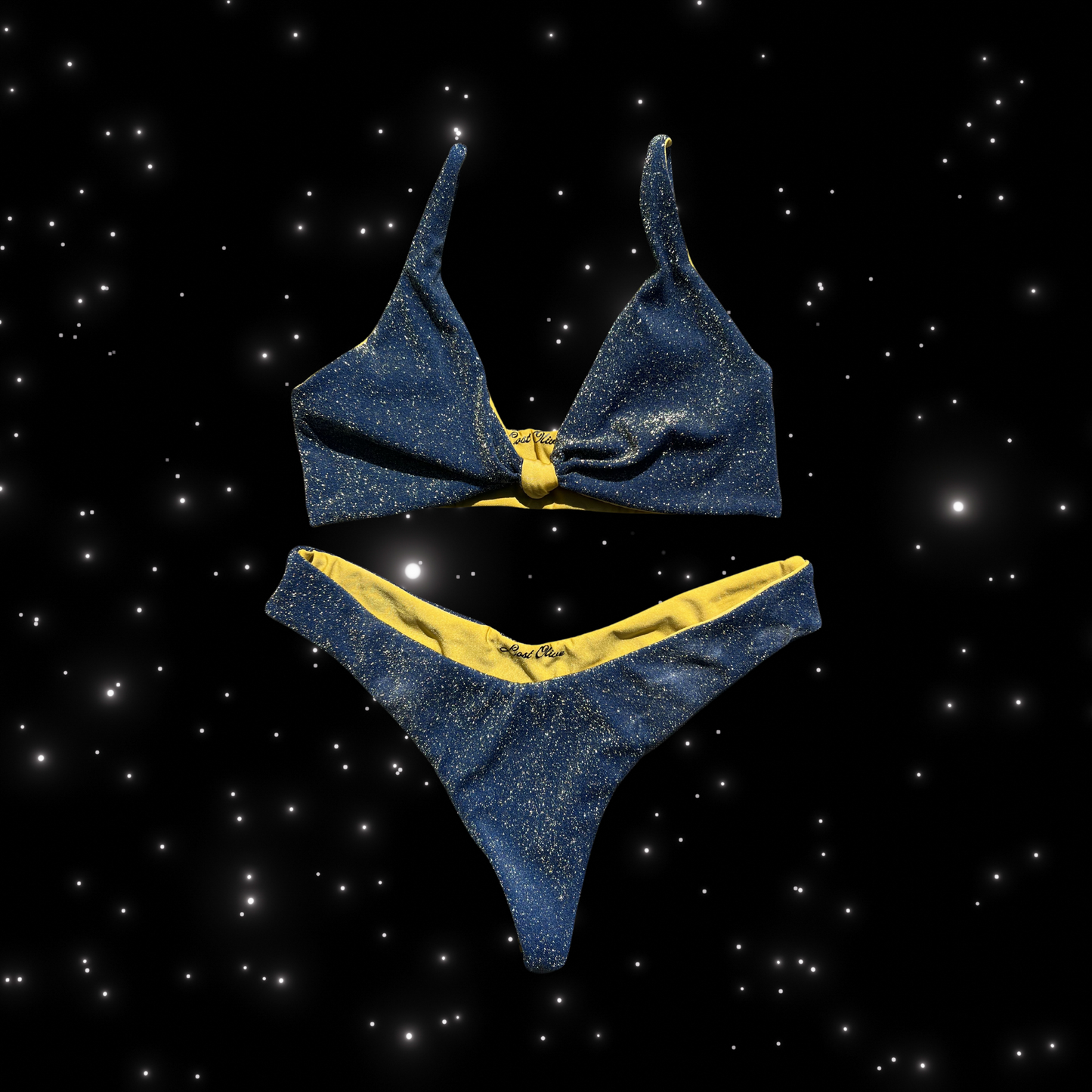 Champagne Dreams Reversible Bikini Bottom in The Phoenix